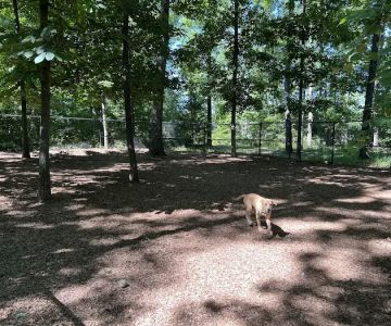 Regency Dog Park