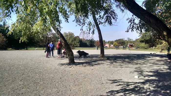 Mason District Off-Leash Dog Park 9