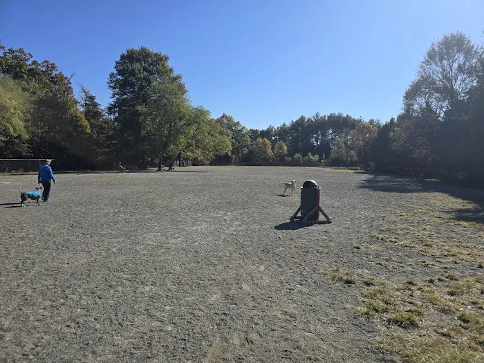 Mason District Off-Leash Dog Park 1