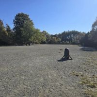 Mason District Off-Leash Dog Park ico