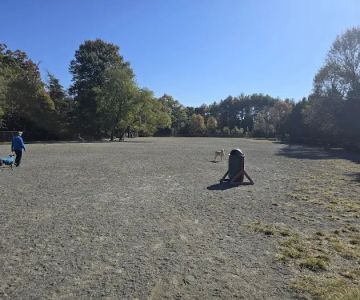 Mason District Off-Leash Dog Park