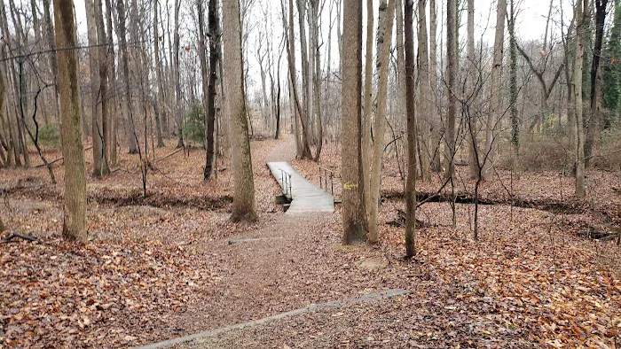 Mason District Off-Leash Dog Park 2
