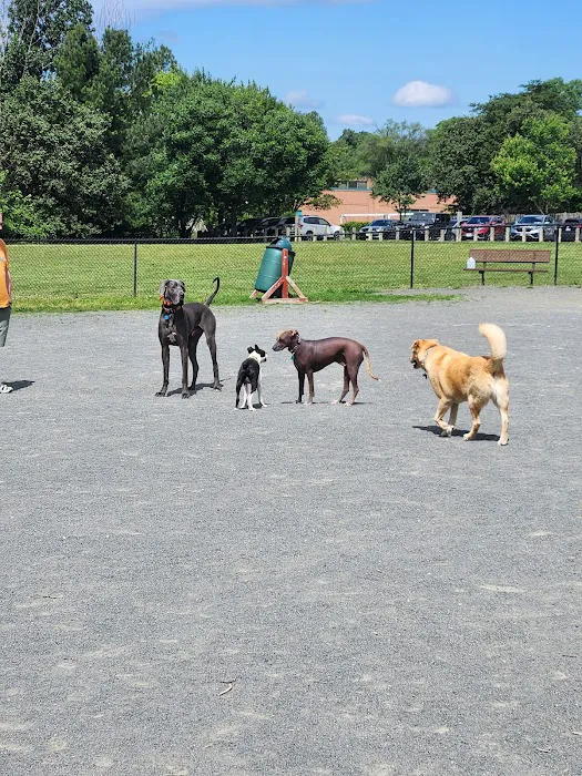Mason District Off-Leash Dog Park 7