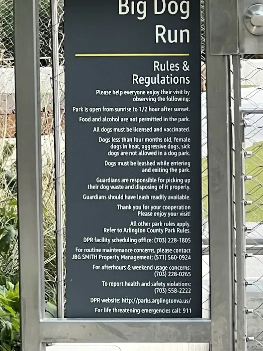 Big Dog Run 1