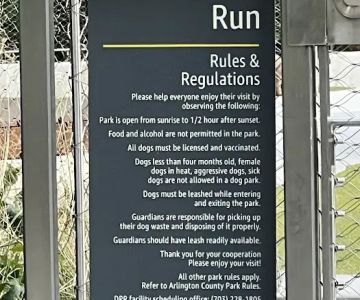 Big Dog Run