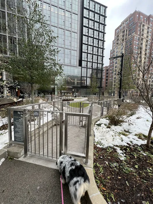 Big Dog Run 5