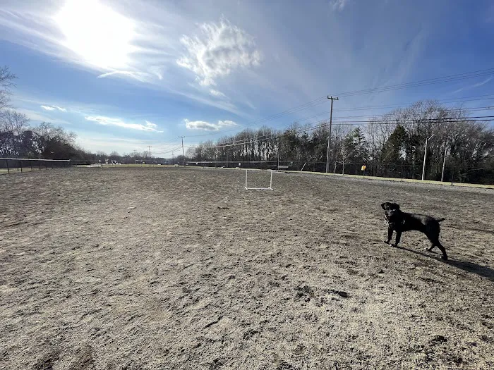 Monticello Dog Park 7
