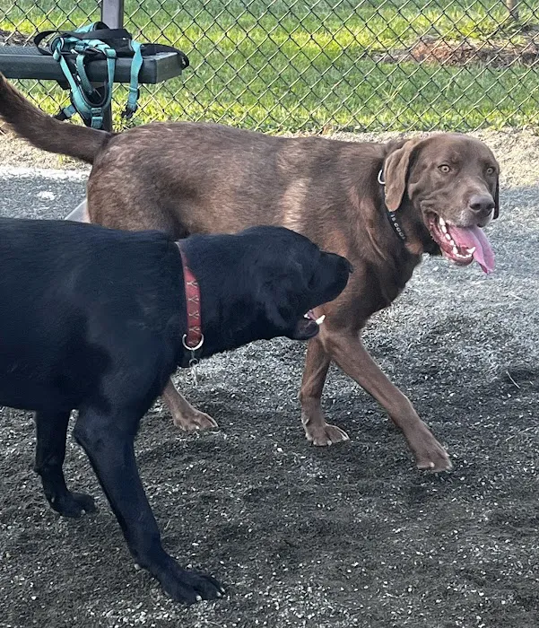 Monticello Dog Park 8