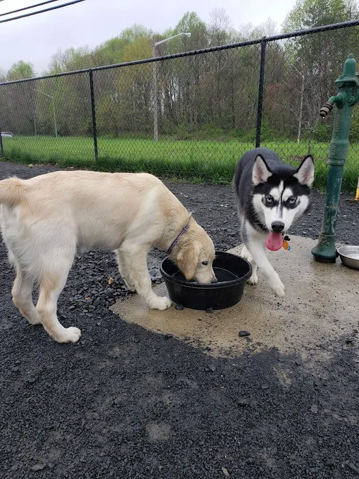 Monticello Dog Park 4