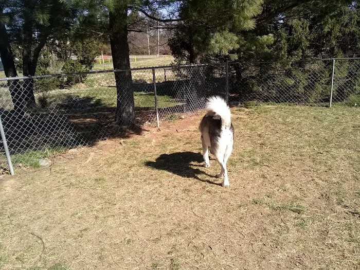 Heritage Forest Dog Park 6