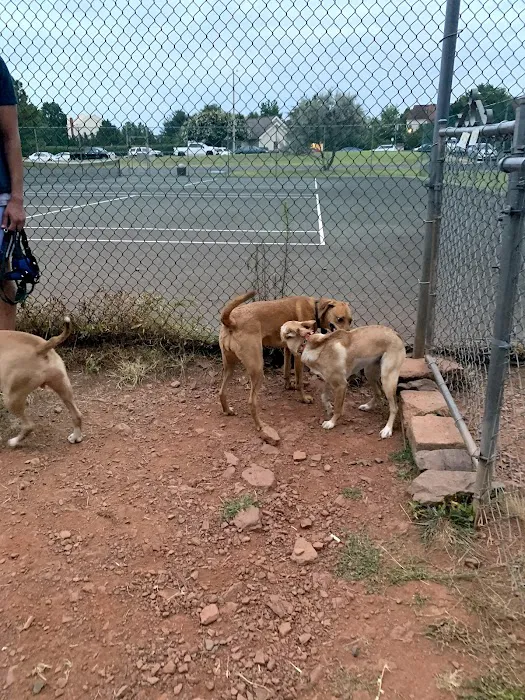 Heritage Forest Dog Park 3