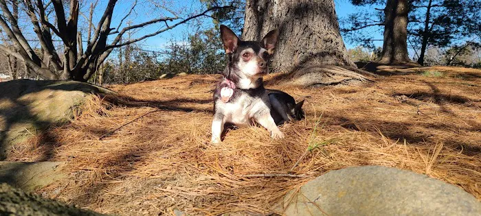 Heritage Forest Dog Park 1