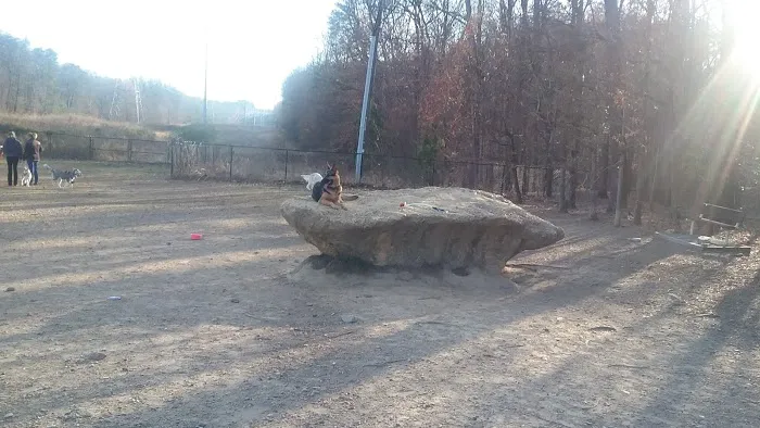 South Run Rec. Center Dog Park 9