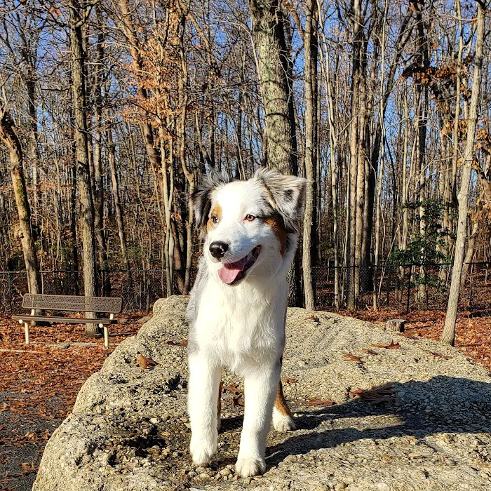 South Run Rec. Center Dog Park 7