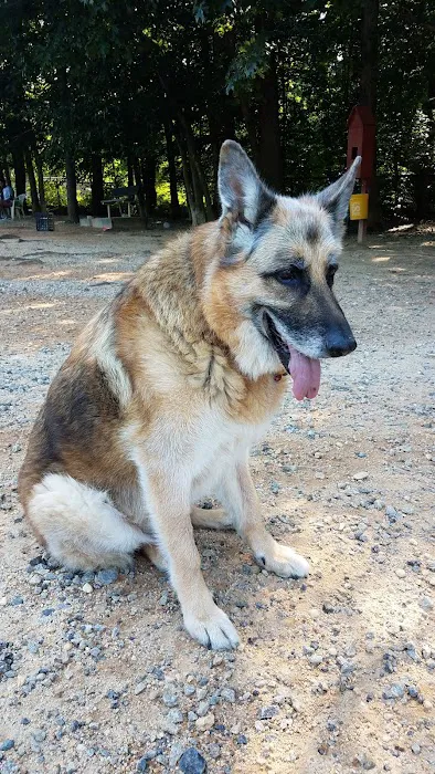 South Run Rec. Center Dog Park 6