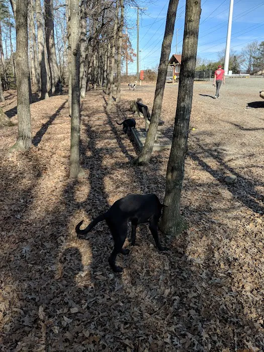 South Run Rec. Center Dog Park 4