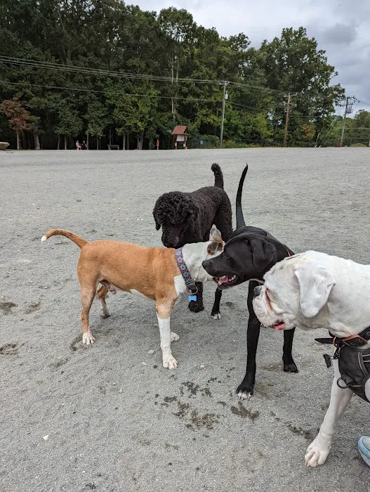 South Run Rec. Center Dog Park 3
