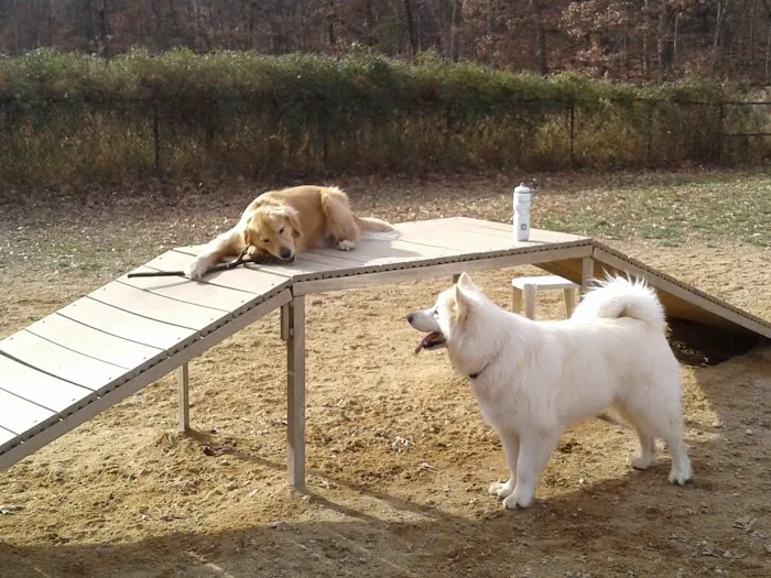 South Run Rec. Center Dog Park 2
