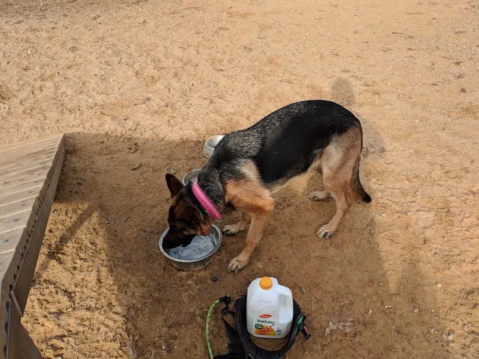 South Run Rec. Center Dog Park 8