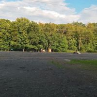 South Run Rec. Center Dog Park ico