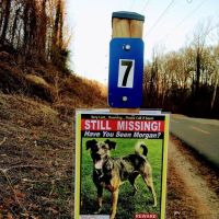 Fort Barnard Dog Park ico