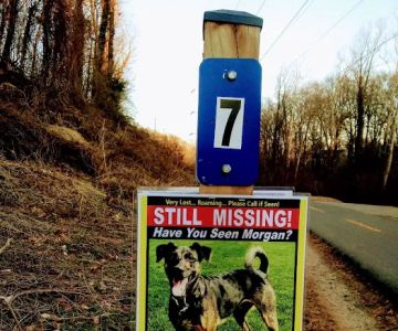 Fort Barnard Dog Park