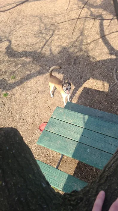 Fort Barnard Dog Park 2
