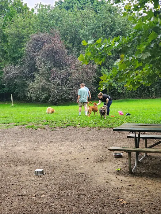 Duke Street Dog Park 1
