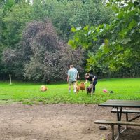 Duke Street Dog Park ico