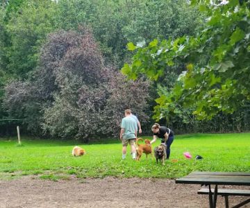 Duke Street Dog Park