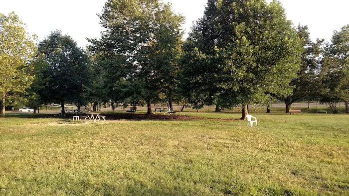 Duke Street Dog Park 6