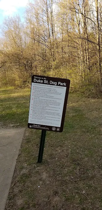 Duke Street Dog Park 4