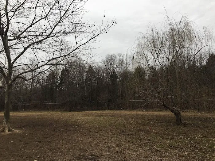 Duke Street Dog Park 2