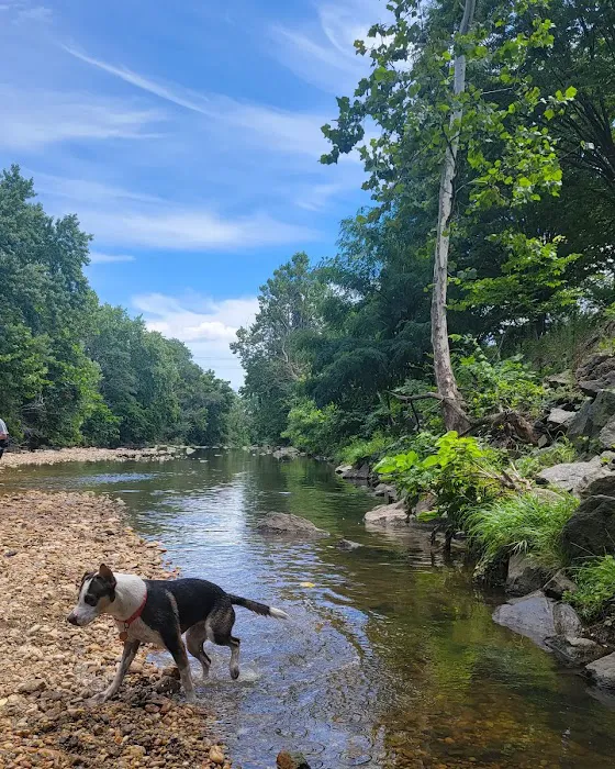 Shirlington Dog Park 5