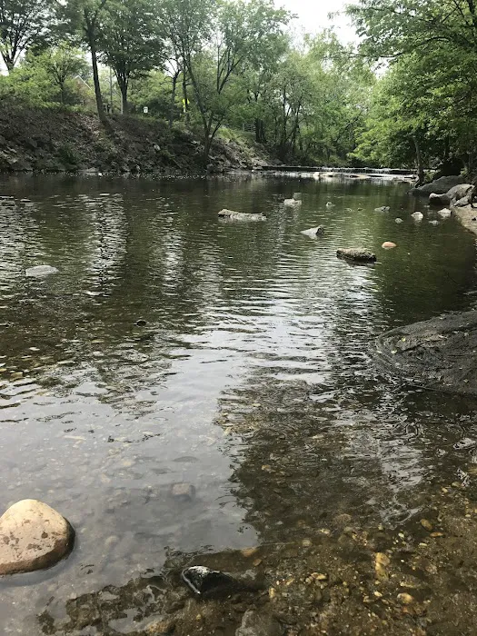 Shirlington Dog Park 2