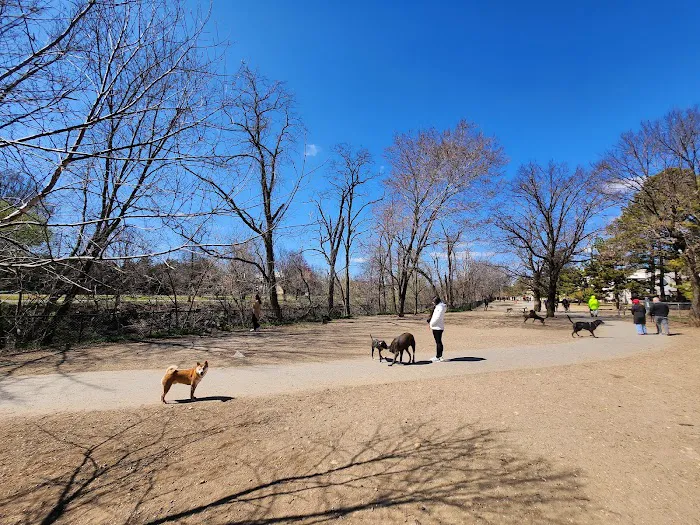 Shirlington Dog Park 1