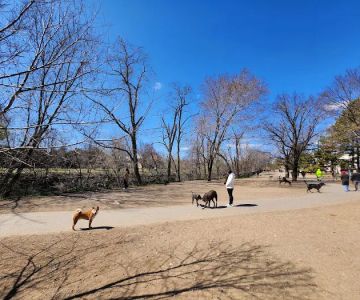 Shirlington Dog Park