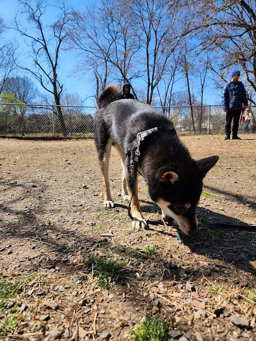 Shirlington Dog Park 8