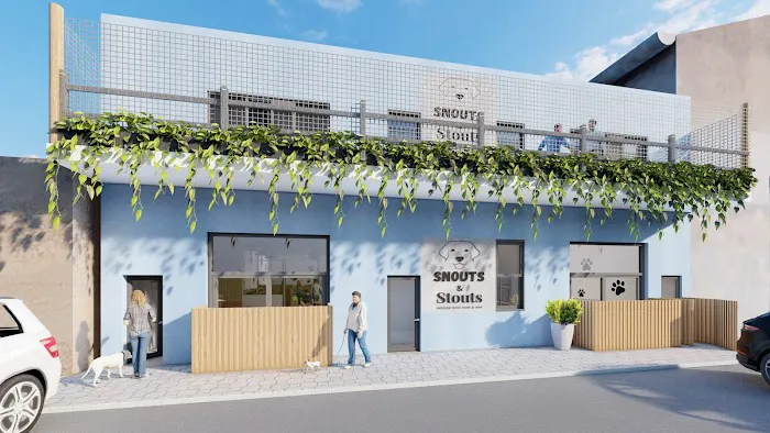 Snouts & Stouts - Indoor Dog Park & Bar 9