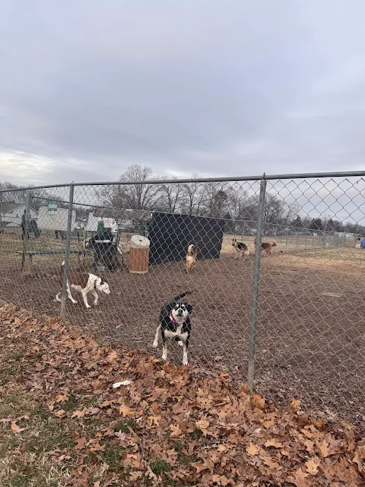 Manassas Park Dog Park 8