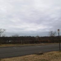 Ben Brenman Dog Park ico