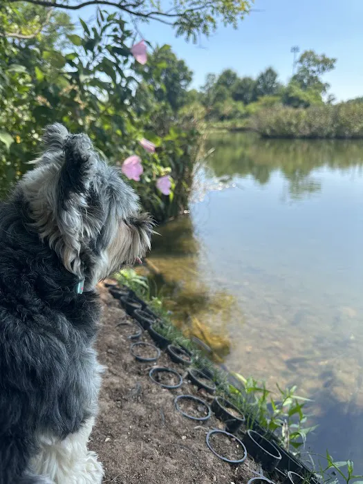 Ben Brenman Dog Park 6