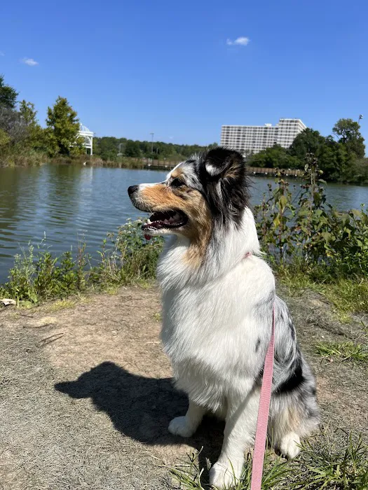 Ben Brenman Dog Park 7