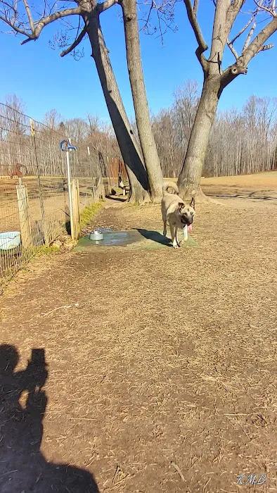 Grays Road Dog Park 2