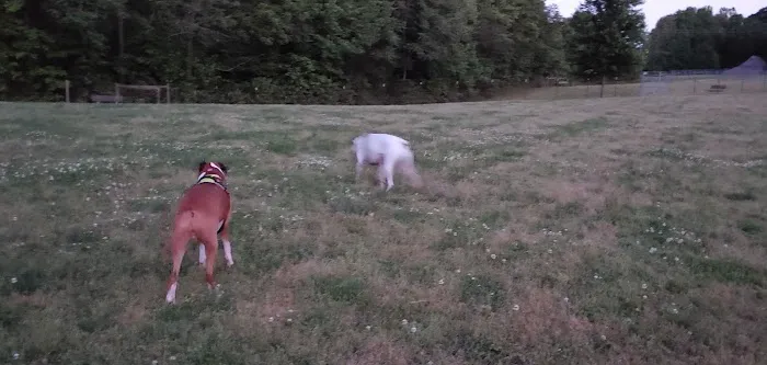 Grays Road Dog Park 8