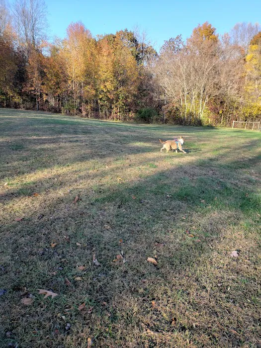 Grays Road Dog Park 5