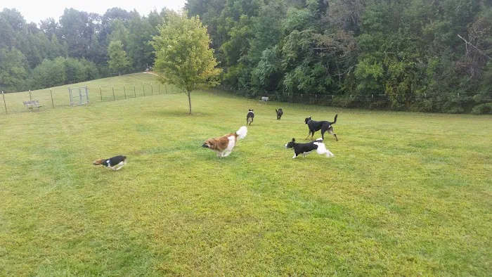 Grays Road Dog Park 9