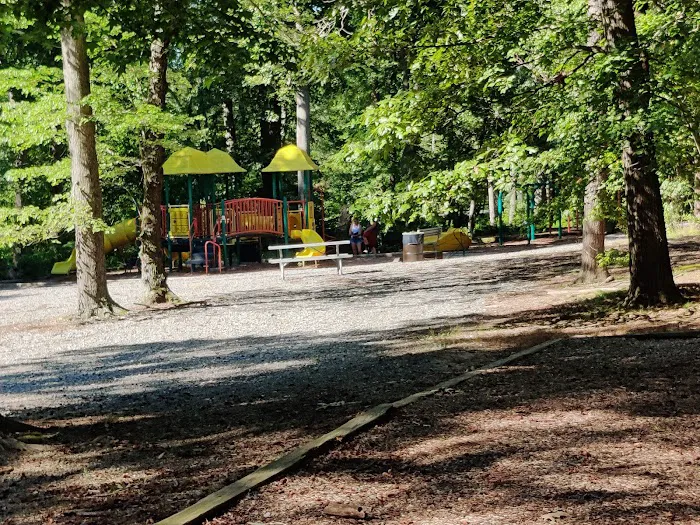 Dog Park White Plains 1