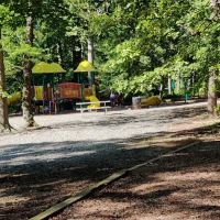 Dog Park White Plains ico