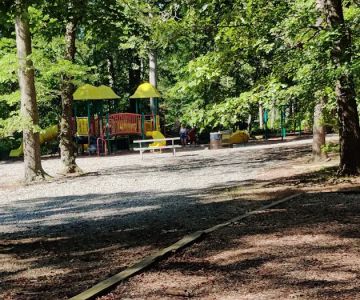 Dog Park White Plains